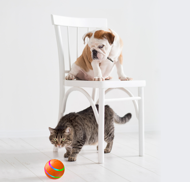 Universal Shoppers - Self-moving cat & dog play ball